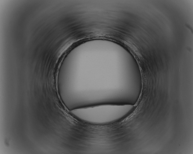 X0000093221023200709261441