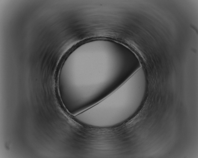 X0000093221024200709261441