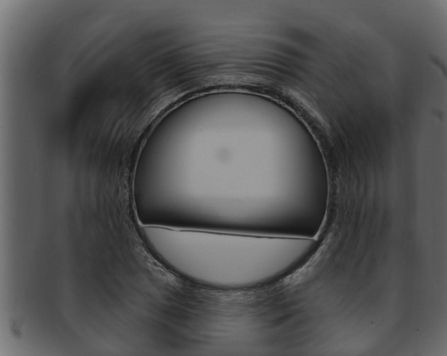 X0000093221025200709261441