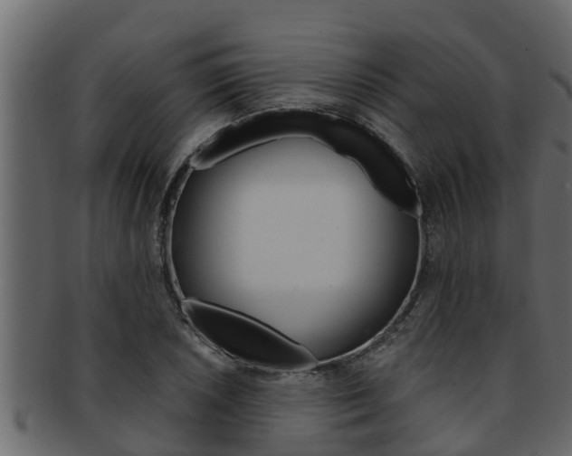 X0000093221026200709261441