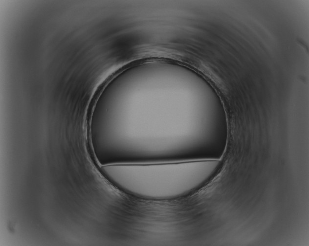 X0000093221028200709261441
