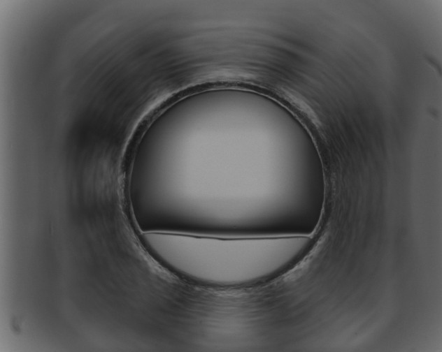 X0000093221029200709261441