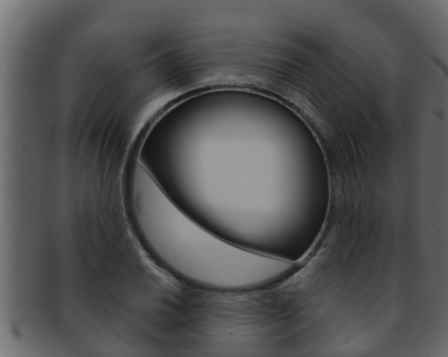 X0000093221030200709261441
