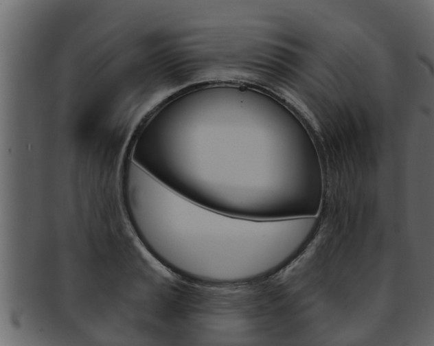 X0000093221037200709261441