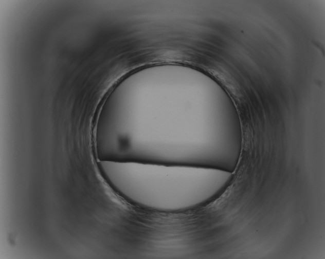 X0000093221039200709261441