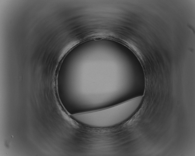 X0000093221042200709261441
