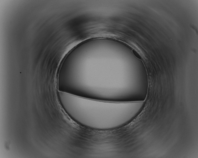 X0000093221044200709261441