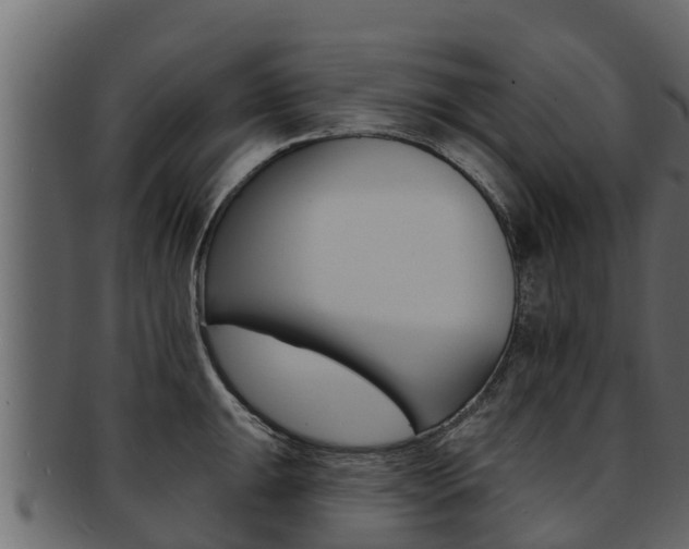 X0000093221047200709261441