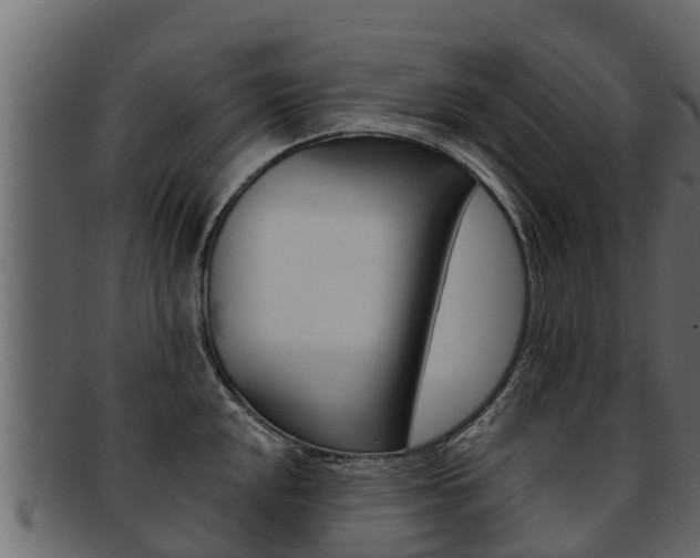 X0000093221048200709261441