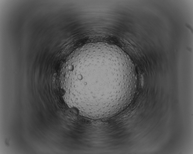 X0000093221059200709261441