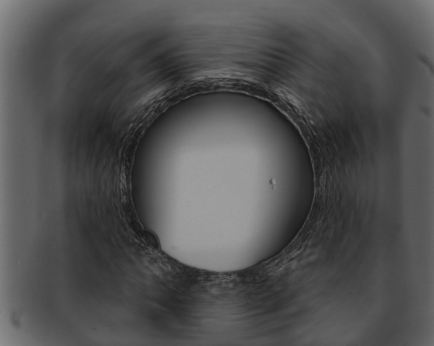 X0000093221062200709261441