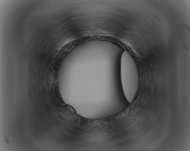 X0000093221063200709261441