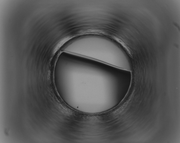 X0000093221066200709261441