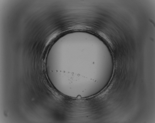 X0000093221067200709261441