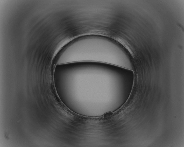 X0000093221069200709261441