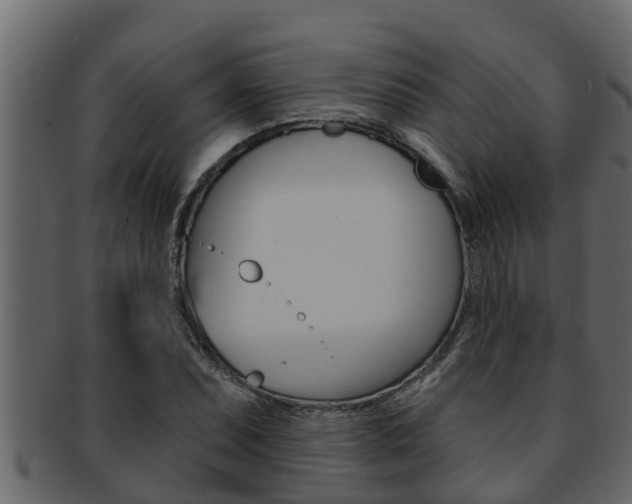 X0000093221071200709261441