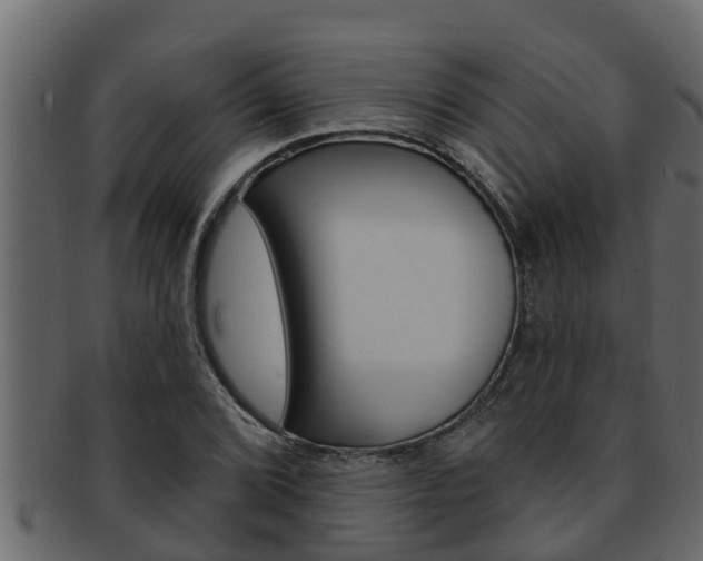 X0000093221072200709261441