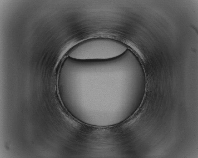 X0000093221075200709261441