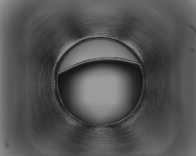 X0000093221077200709261441