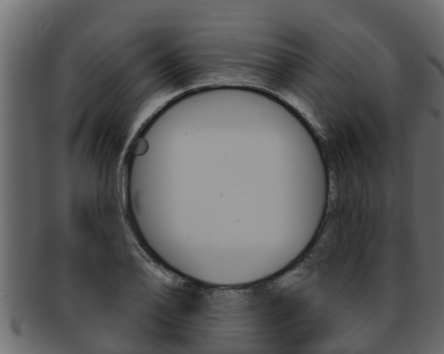 X0000093221078200709261441