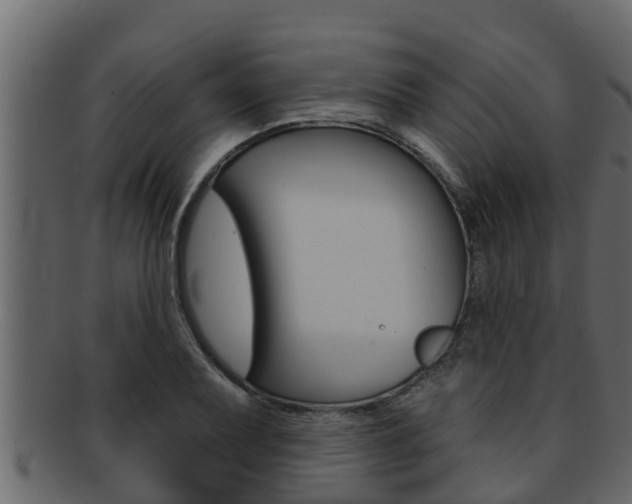 X0000093221079200709261441