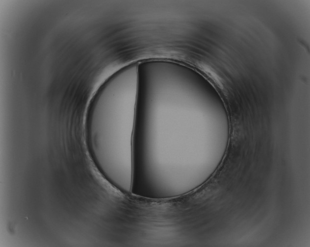 X0000093221080200709261441