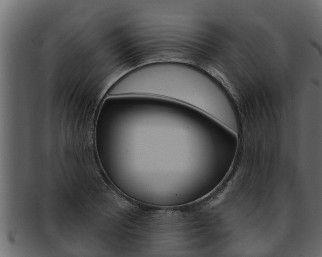 X0000093221081200709261441
