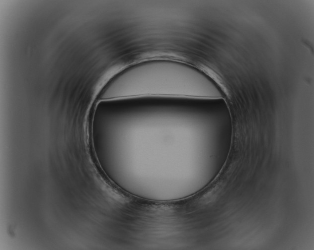 X0000093221082200709261441