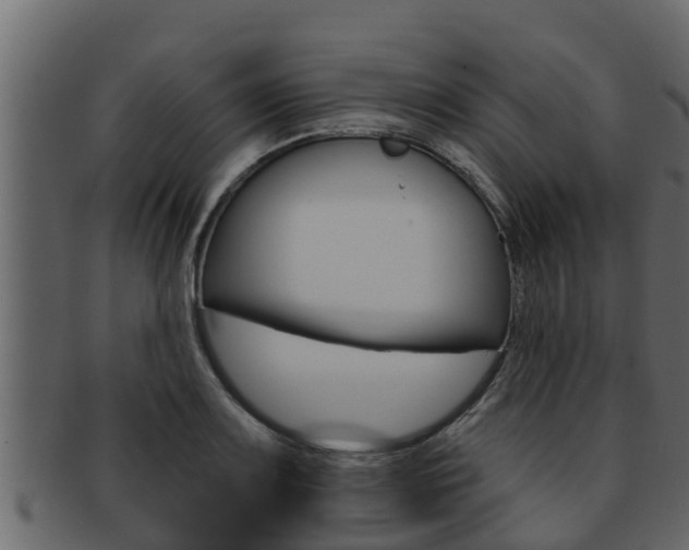 X0000093221083200709261441