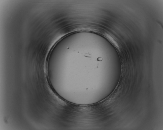 X0000093221084200709261441