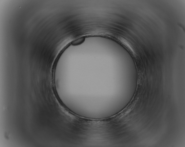 X0000093221087200709261441