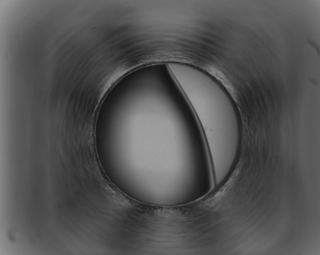 X0000093221089200709261441