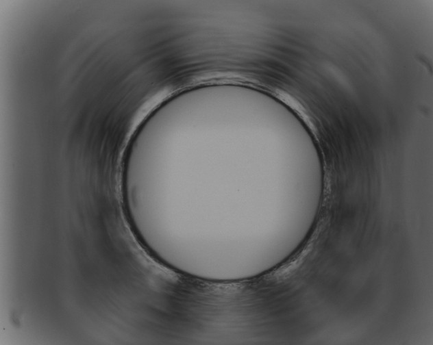 X0000093221090200709261440