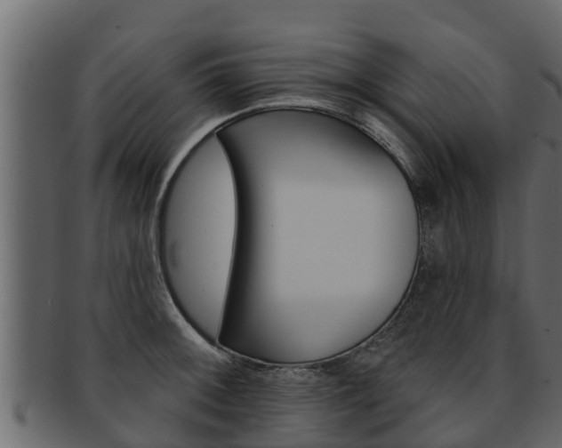X0000093221092200709261440