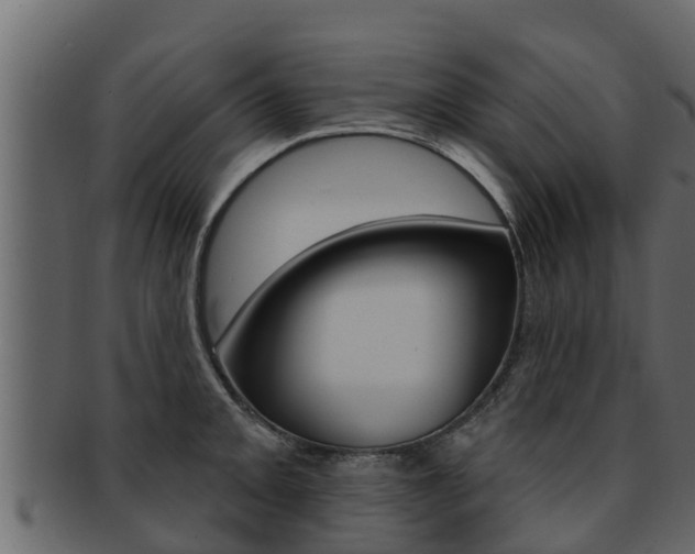 X0000093221093200709261440