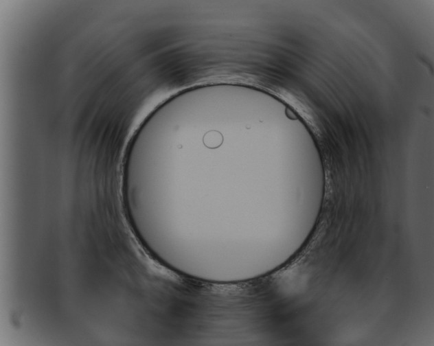 X0000093221094200709261440