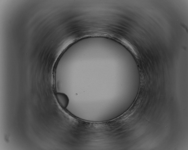 X0000093221095200709261440