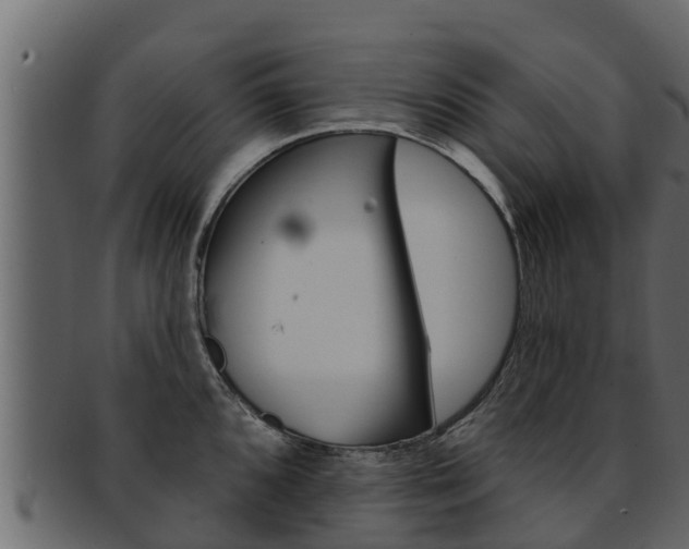 X0000093221096200709261440