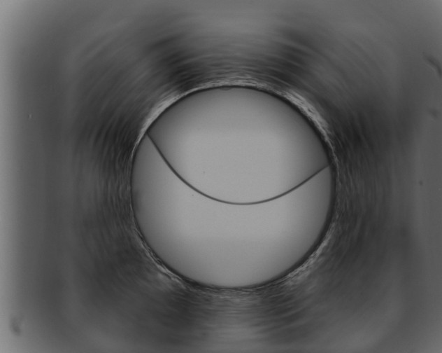 X0000093221097200709261440