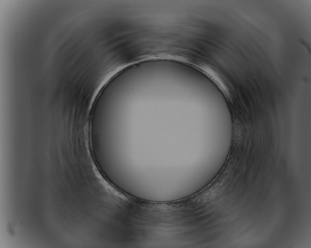 X0000093221100200709261440