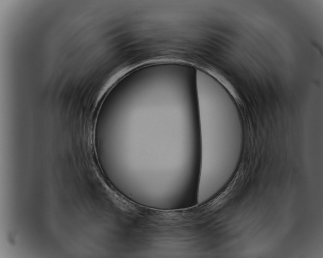 X0000093221101200709261440