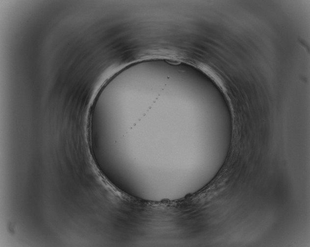 X0000093221104200709261440