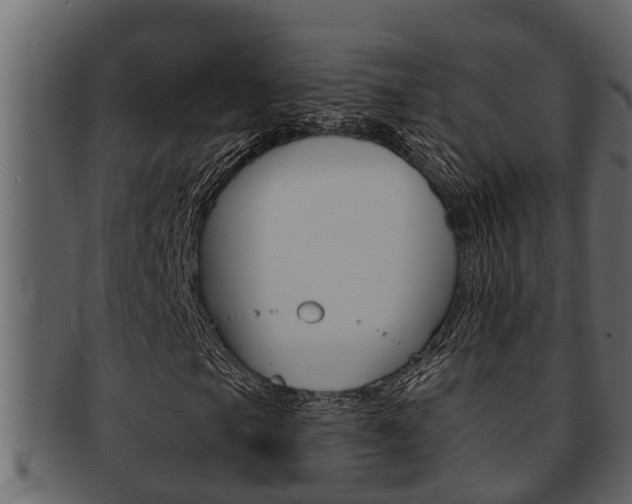 X0000093221105200709261440