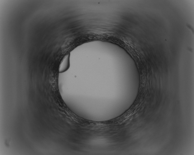 X0000093221109200709261440