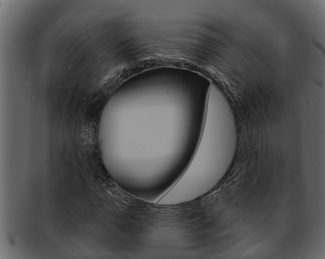 X0000093221110200709261440