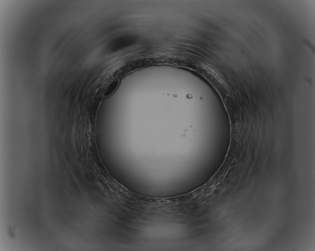 X0000093221111200709261440