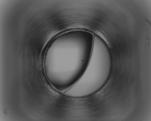 X0000093221116200709261440