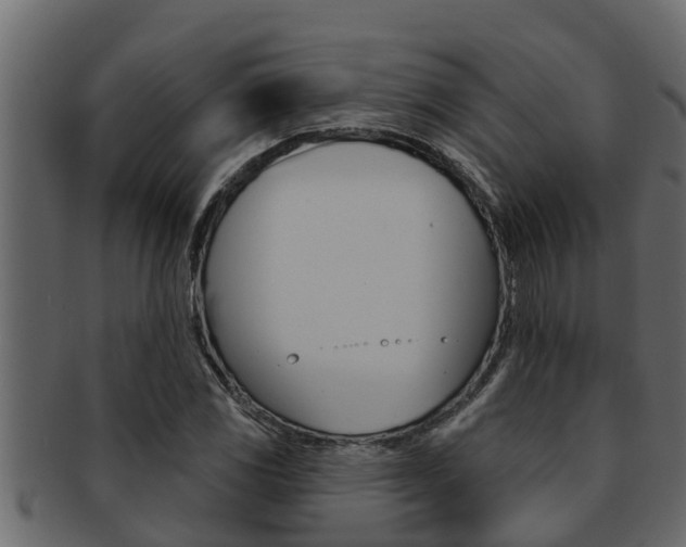X0000093221117200709261440