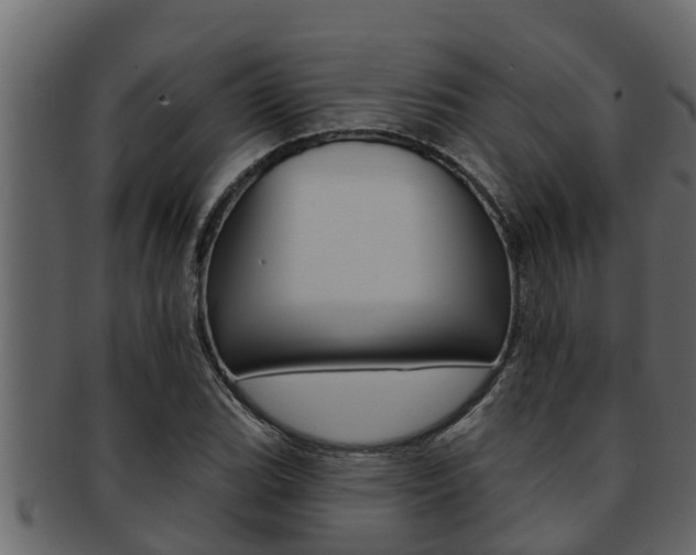X0000093221119200709261440