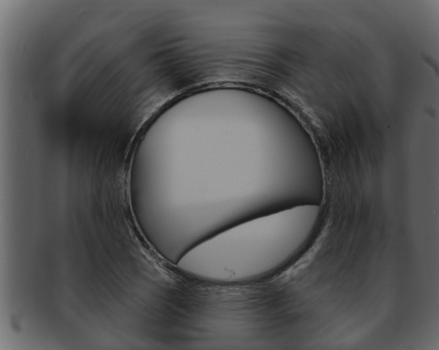X0000093221121200709261440